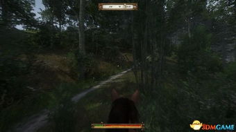 《天国拯救2》白獐秘境攻略：解锁神秘支线新玩法