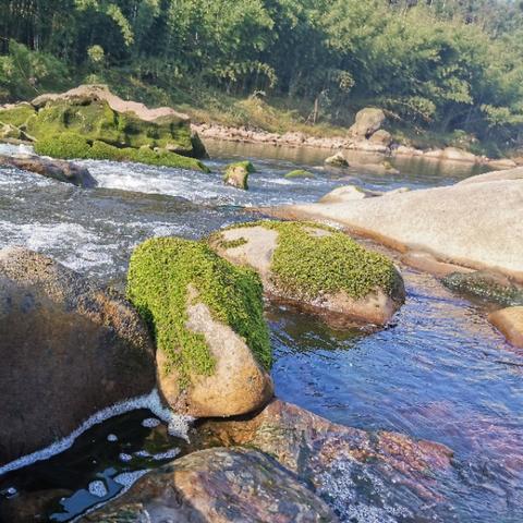 翡翠天梯藏宝图宝藏揭秘：翡翠秘境新坐标揭晓