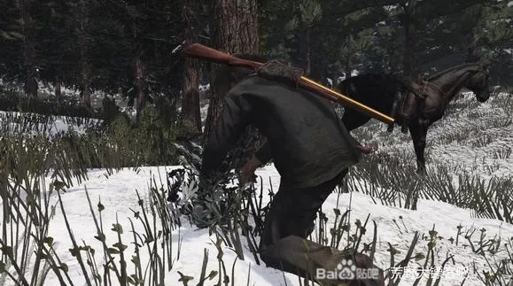 《荒野猎人太刀秘技全解析：招式精粹深度揭秘》