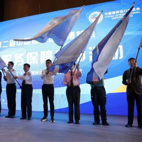 《宣誓》剧情攻略：深度解析通关秘籍，解锁全新游戏体验