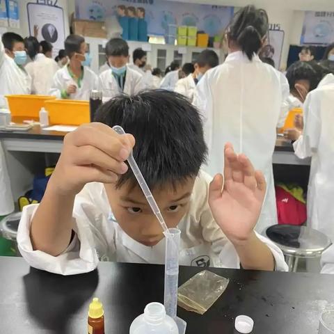 宣誓职业深度解析：解锁技能奥秘，掌握游戏新境界