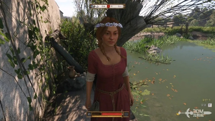 婚礼服饰攻略：揭秘《天国拯救2》独特婚服获取秘籍