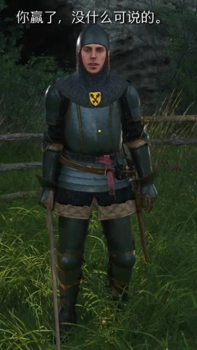 《天国拯救2》菲奥雷半剑式攻略：深度解析新技能解锁