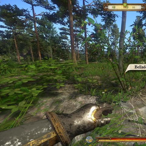 《天国拯救2》前期颠茄宝藏地图大揭秘，高效获取攻略指南