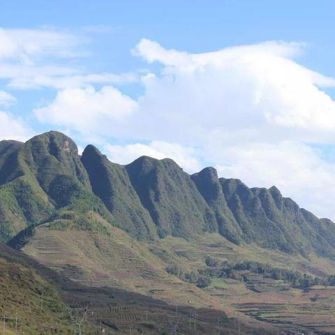 祖传宝物寻踪记：揭秘《天国拯救2》宝藏新线索