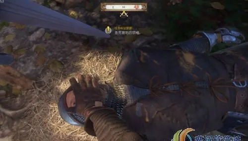 《天国拯救2》毒蝇伞高效采集攻略，一网打尽获取技巧揭秘