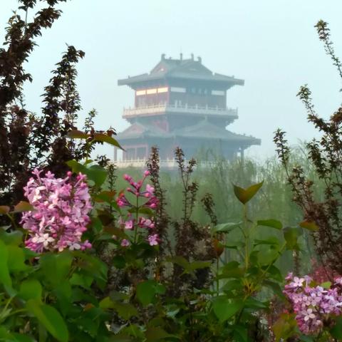 《天国拯救2》宴客之道攻略：高效完成技巧解析新法