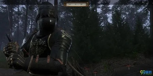 《天国拯救2》古勒斯套装攻略：高效获取强力板甲秘籍