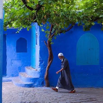 探索《文明7》伊本白图泰独特魅力，解锁全球探险新篇章