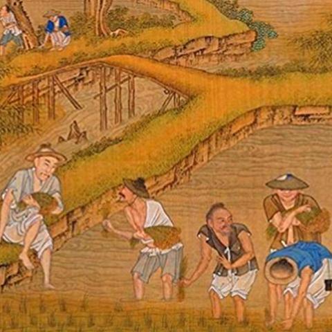 汉朝特色深度解析：文明7汉朝特性全揭秘