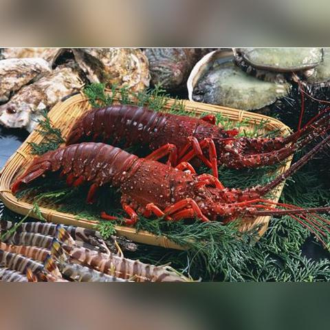 怪物猎人荒野二测独家攻略：轻松加入体验盛宴