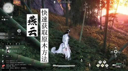 芳菲笺中情意浓，燕云十六声攻略秘籍大公开