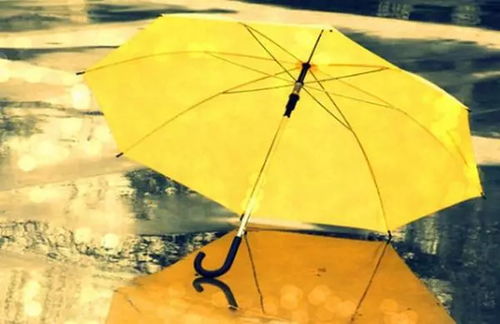 九重春色伞操作攻略：深度解析《燕云十六声》独特用法