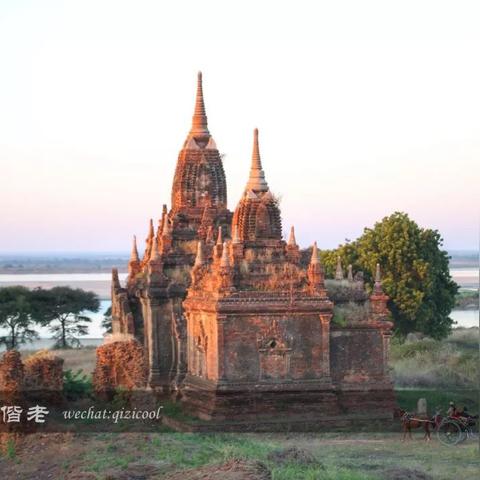 《小小世界原野求生》快速入门指南，新手必备生存技巧解析