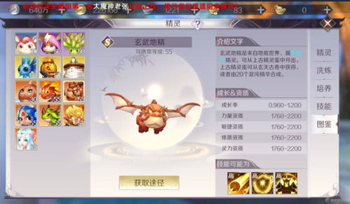 《鸣潮》洛可可养成秘籍：高效培养攻略全解析