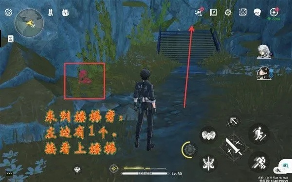 《鸣潮》礼花蒴攻略：高效采集路线及点位解析秘籍