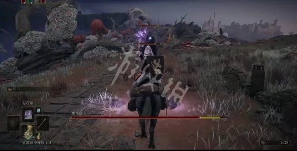 《艾尔登法环》双吻毒蛾战灰攻略：高效获取新技巧分享