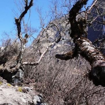 《文明7》战狂模式攻略：深度解析战狂打法技巧解析