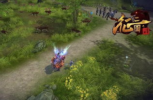 《真三国无双起源》深山草精准定位与高效攻略分享