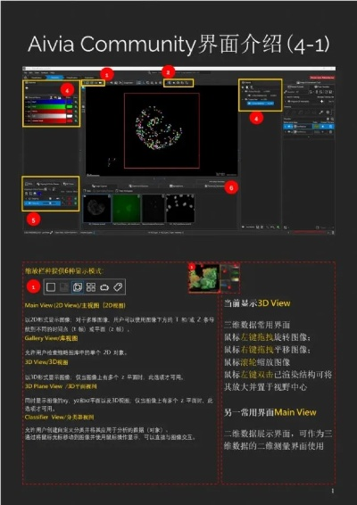 《Awaria》一修大师，深度解析与高效使用指南