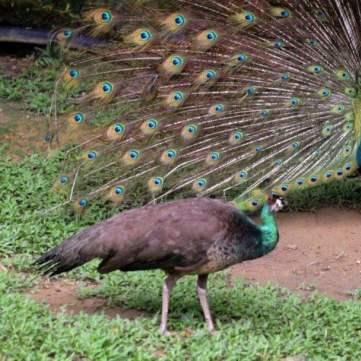 《真三国无双起源》转身脚武艺攻略：轻松解锁高阶战斗技巧