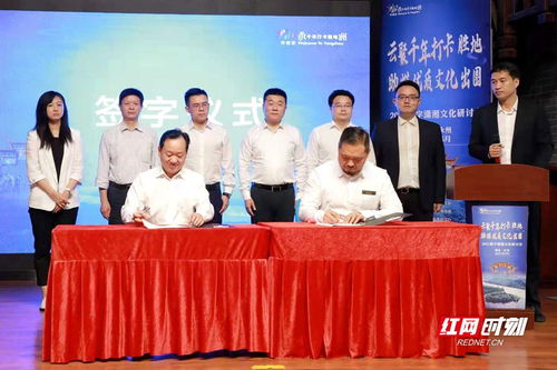 《燕云十六声》清河曲径寻幽攻略：探寻幽径新体验