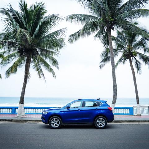 猫会翻滚恋爱大揭秘！AI互动影游首曝心动瞬间