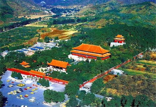 《燕云十六声》竹林旧居探秘：宝箱蹊跷位置新发现