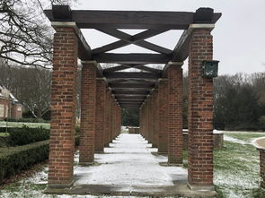 《燕云十六声》竹林探秘：旧居寻踪攻略全收录