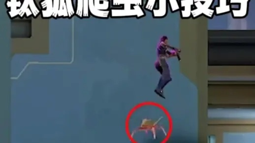 钛狐技能深度解析：掌握高效使用新攻略