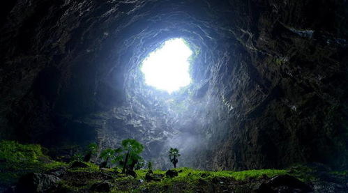 《鸣潮》探秘：云母釉岩高效采集攻略揭晓