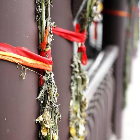 《鸣潮》剑菖蒲高效采集攻略，一网打尽位置秘籍