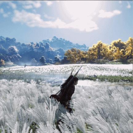 《燕云十六声》清河猫戏揭秘：探寻清河地区猫戏新地标