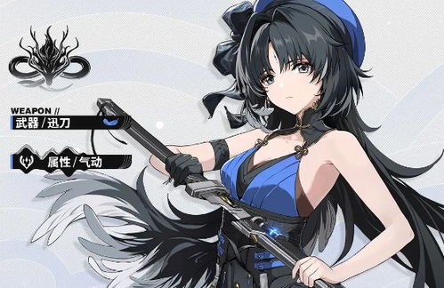 珂莱塔声骸攻略解析，搭配技巧与养成新攻略推荐