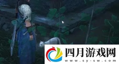 《燕云十六声》清河妙妙喵挑战攻略：揭秘隐藏位置攻略秘籍