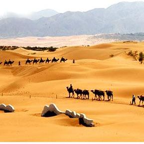 《无垠之心》全收集白金攻略，深度解析新视角解锁秘籍