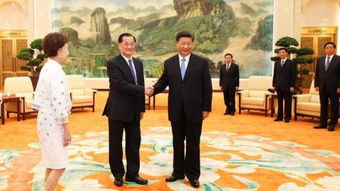 四渎龙神六健将连战攻略，深度解析全新战斗技巧揭秘