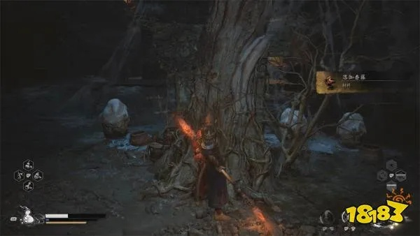 落伽香藤盘丝岭：揭秘悟空第四落神秘新地标