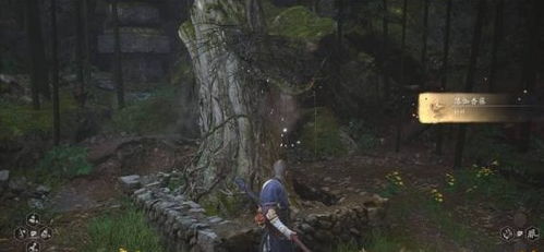 落伽香藤秘境探秘：黄风岭新地标揭秘