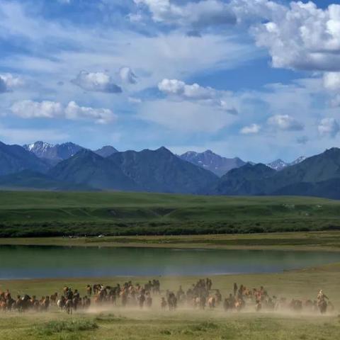 荒野之息独家攻略：轻松捕捉马匹技巧大公开