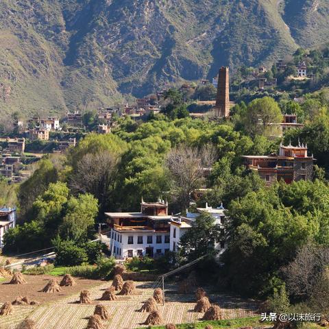 《古老之圈秘境》战斗技巧深度解析，解锁全新战斗价值