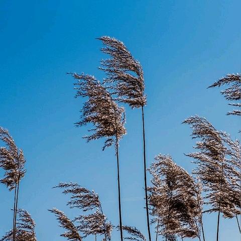 午后暖阳套装攻略：轻松解锁暖暖新风采