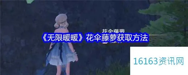 《无限暖暖》花伞藤萝获取攻略：藤萝花伞采集技巧大公开