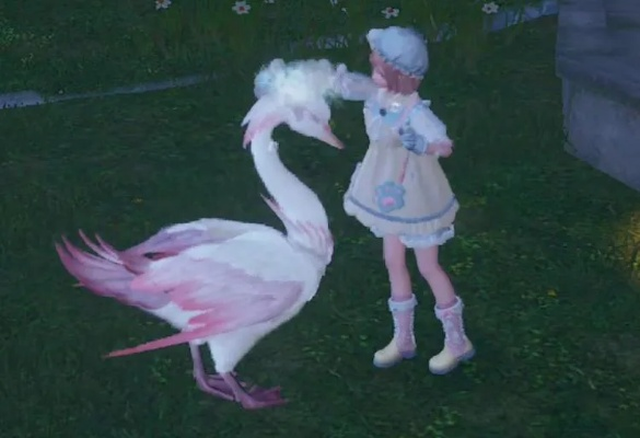 《无限暖暖》天鹅羽亭摄影攻略，解锁拍照新境界