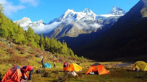 《无限暖暖》废弃营地攻略揭秘：观察之旅答案全解析