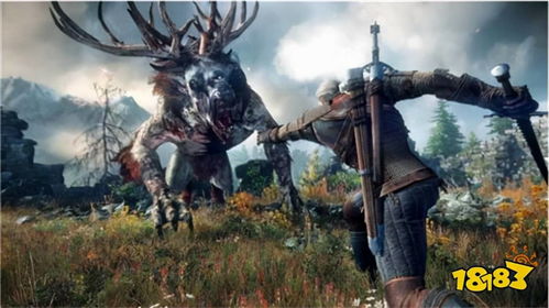 《巫师3》全攻略揭秘：深度解析支线任务目录宝藏