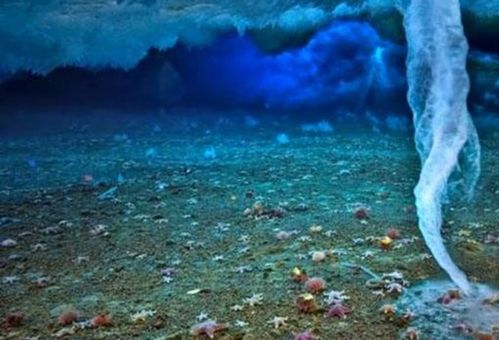 史前空气揭秘：600万年冰疙瘩蕴藏神秘价值