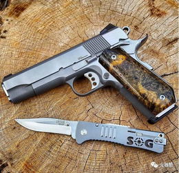 《切尔诺贝利之心APSB手枪藏匿攻略，探秘神秘武器位置》