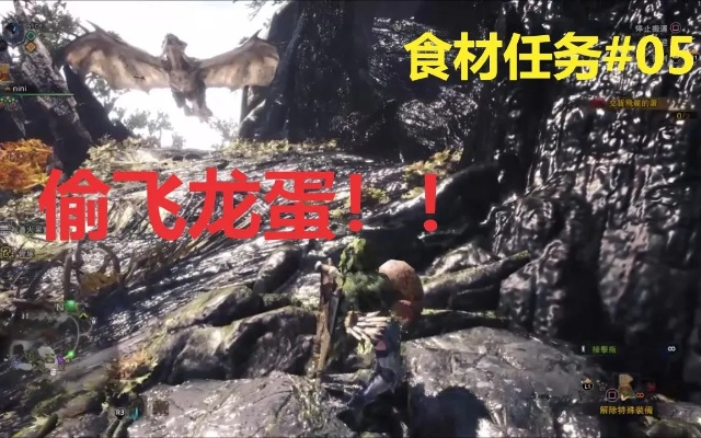 飞龙蛋藏匿秘境探秘，搬蛋攻略一网打尽！