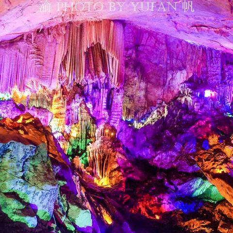 《上古卷轴5》龙骨龙鳞价值解析：深度揭秘用途与功效